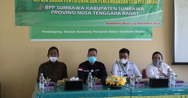 Pemerintah Kabupaten Sumbawa