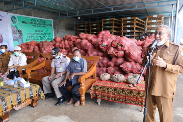 Pemerintah Kabupaten Sumbawa