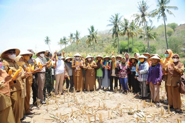 Pemerintah Kabupaten Sumbawa