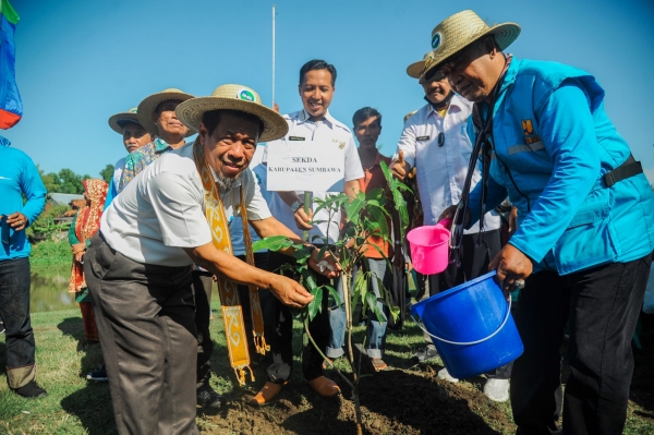 Pemerintah Kabupaten Sumbawa