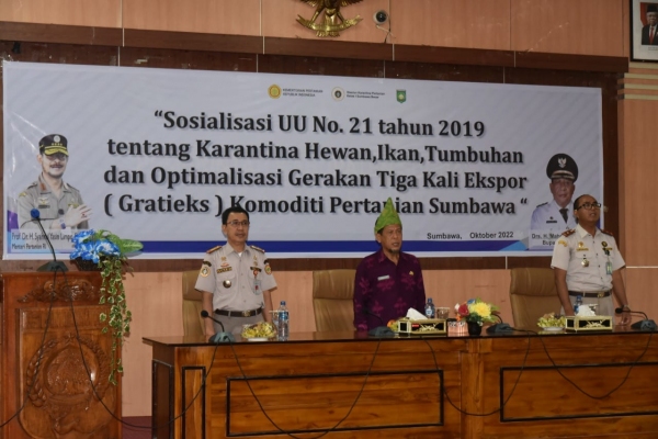 Pemerintah Kabupaten Sumbawa