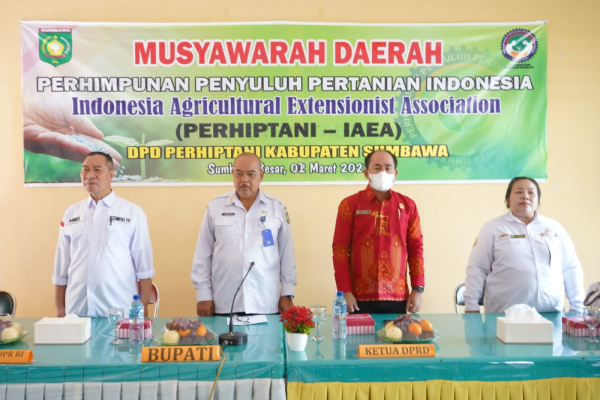 Pemerintah Kabupaten Sumbawa